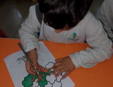 IMG-20250424-WA0065-20250424-120139